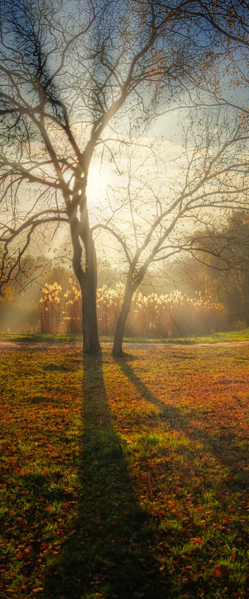 Autumn light by Vlad Durniev