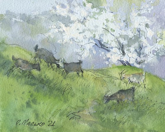 Spring again. Sketch with goats / Original watercolor. Small size pictures. At a grassland