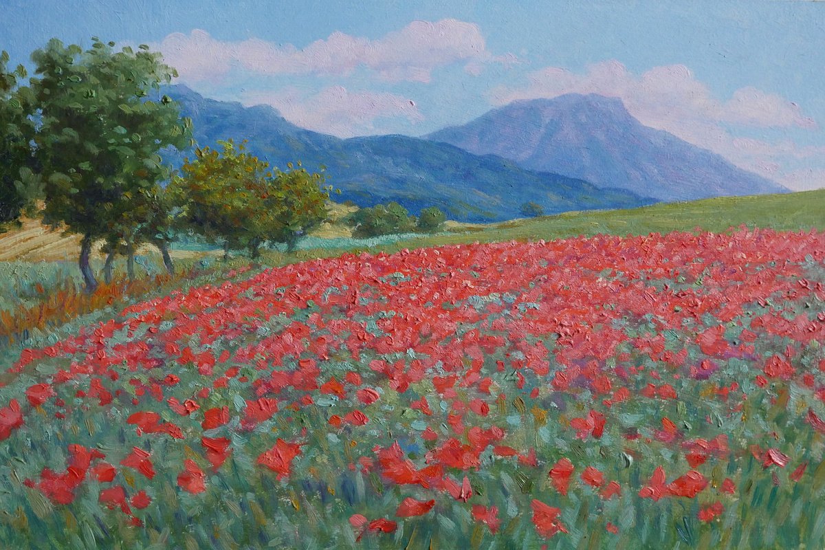 field of poppies in Provence by Claudio Ciardi
