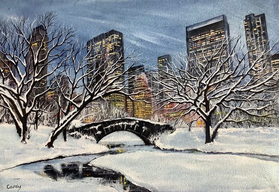 Central Park winter