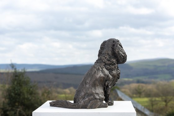 Sitting Cavalier Bronze Resin