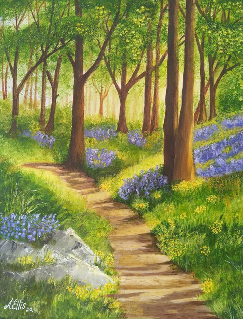 A walk in a sunlit wood by Anne-Marie Ellis
