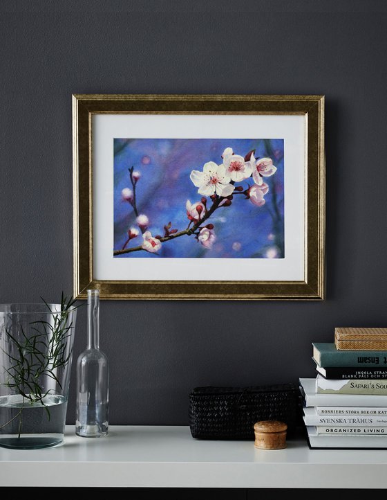 Cherry Blossoms -  cherry tree branch - Mother's Day gift - Spring watercolor