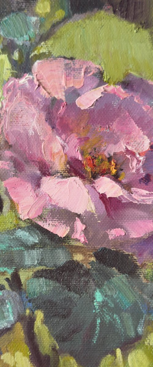 One pink rose by Olha Laptieva