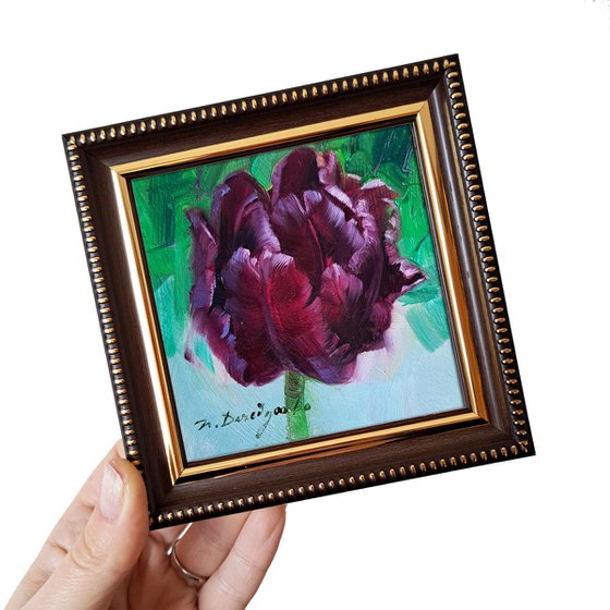 Black tulip