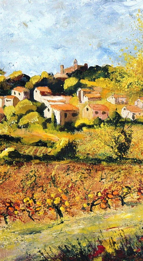 Vineyards in rasteau Provence by Pol Henry Ledent