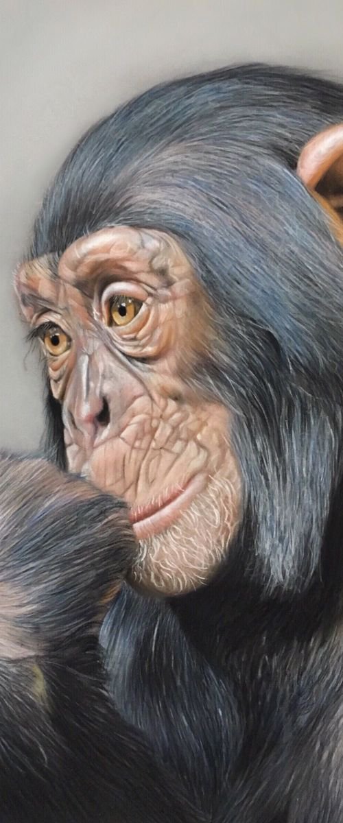 The Thinker by Clare Parkes