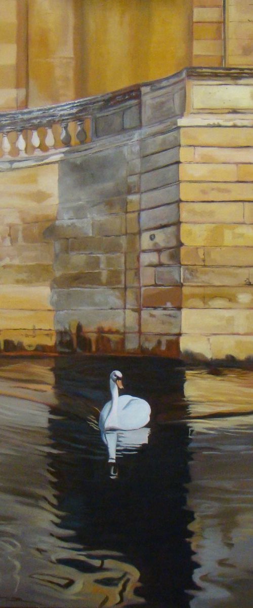 Nemausus, swan on the water by Anne Zamo