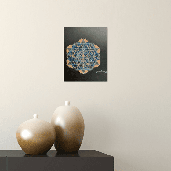 Seed of Life Study
