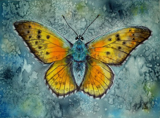 Sunny Butterfly