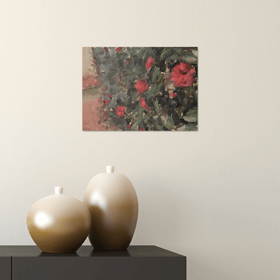 Camellias in Bloom