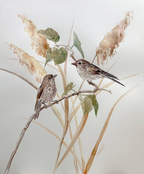 Pine Siskin birds in the Wild ( two artworks)