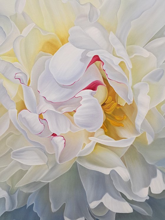 Peony extravaganza