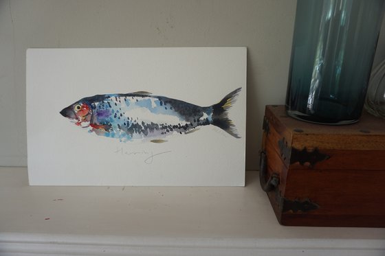 Herring Fish Watercolour