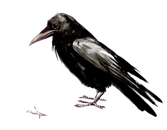 crow