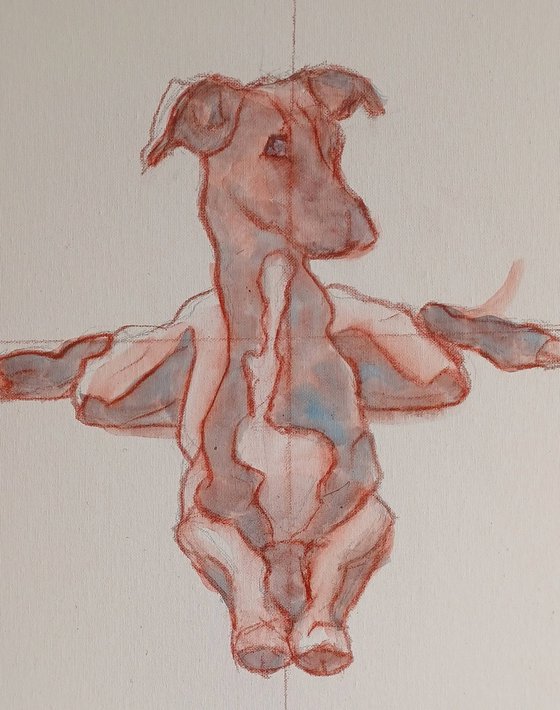 Frog Legs (Whippet)!