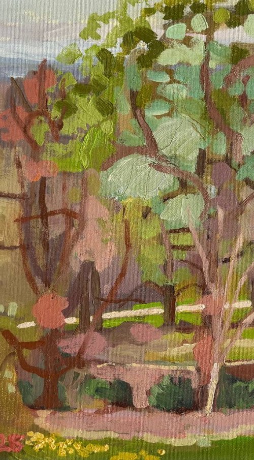 From Pembroke Lodge 2 by Emma Pilkington