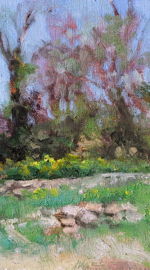 Undergrowth and Daffodils by Pascal Giroud