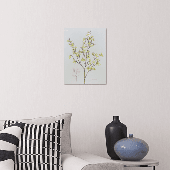 "Forsythia"