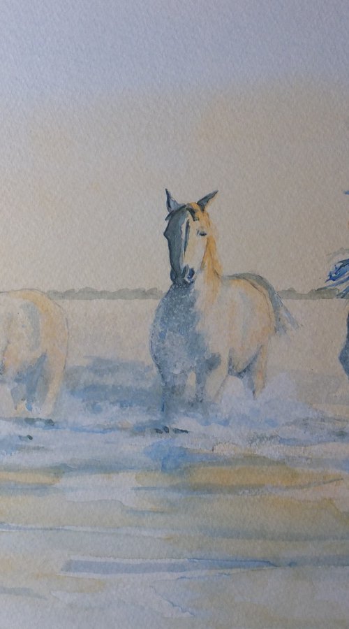 Wild Horses in the Wetlands by David Harmer