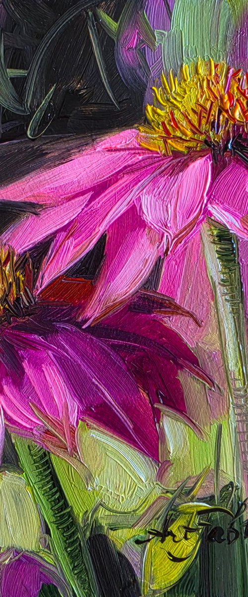 Echinacea flower by Nataly Derevyanko