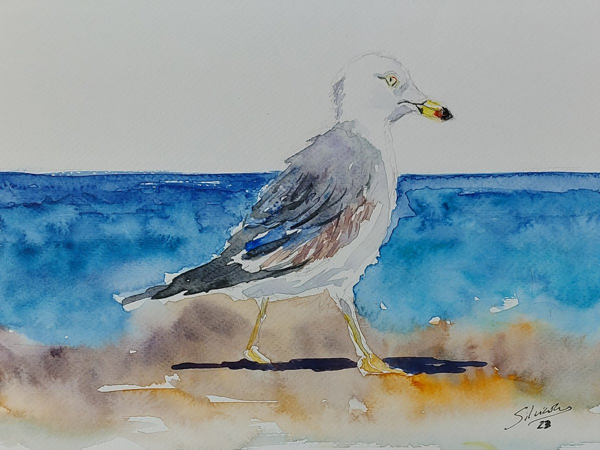 The seagull by Silvia Flores Vitiello