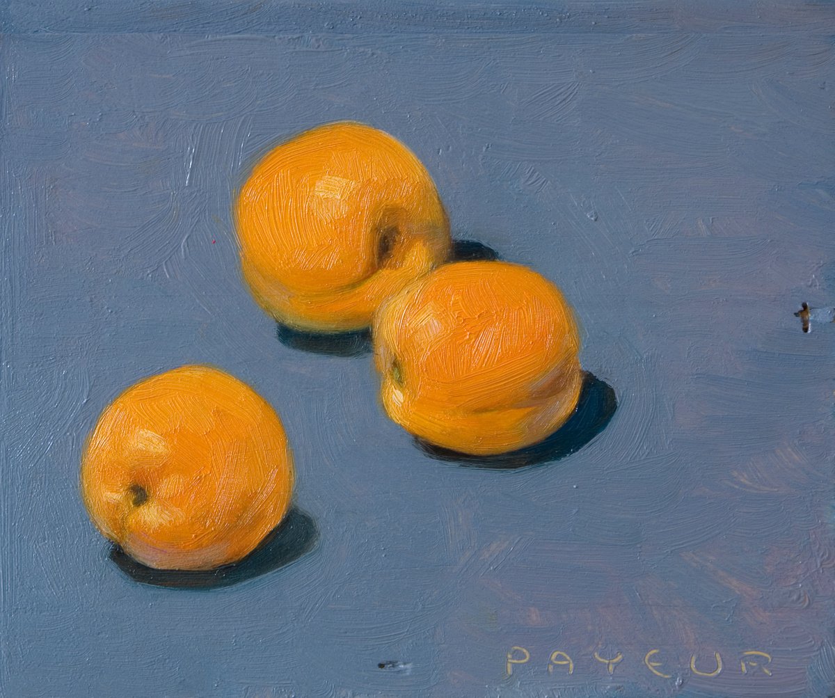 modern still life of apricots on blue for fruit lovers by Olivier Payeur