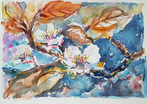 Almond blossom by Silvia Flores Vitiello