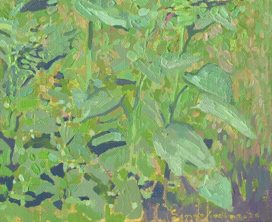 Sunflowers in Maryino