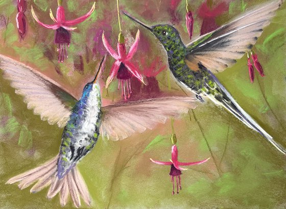 Colibri in flight. Flying