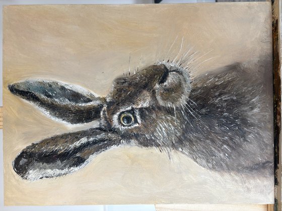 Framed Hare Oil Painting Original Impasto
