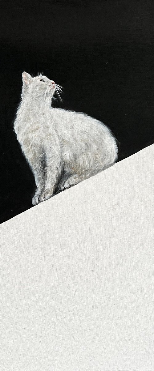 Minimalist Cat That’s Too Cool to Ignore by VICTO