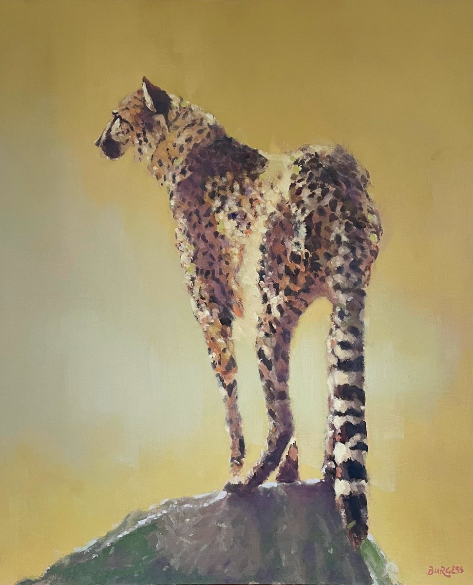 A Perfect View - Framed Leopard Oil Painting - 22 x 18 by Shaun Burgess