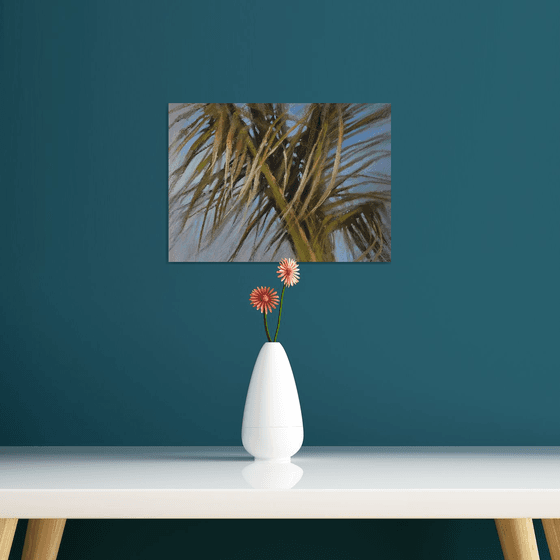 Palm Tree in a windy day