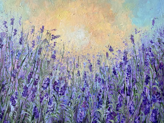 Lavender Morning