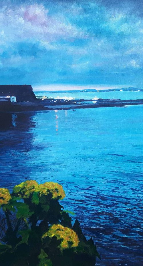 'Howth' by Warren Faye