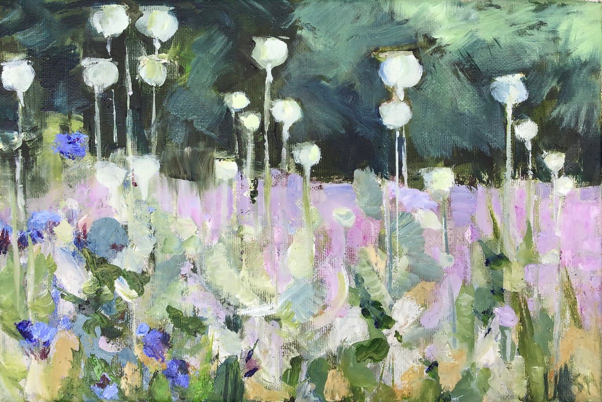Impressionistic Botanical Oil Painting By Sandra Haney, 12 X 8", Poppy Heads, Original Artwork