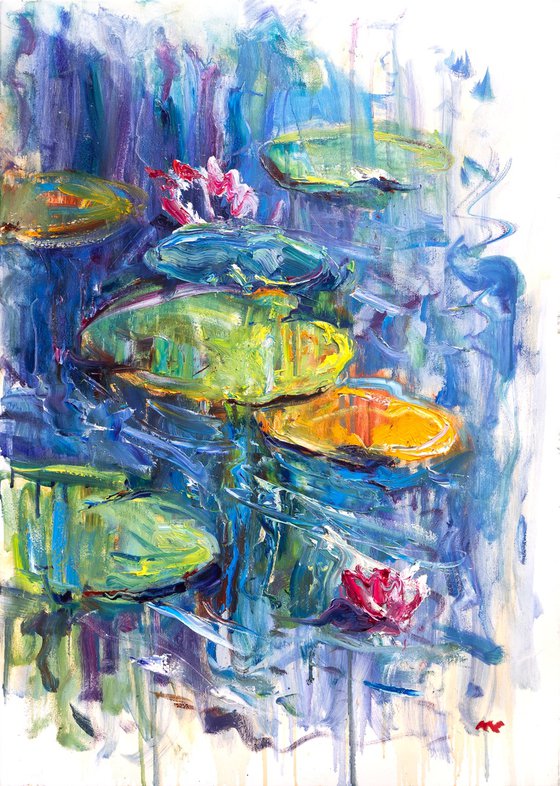 Water lilies