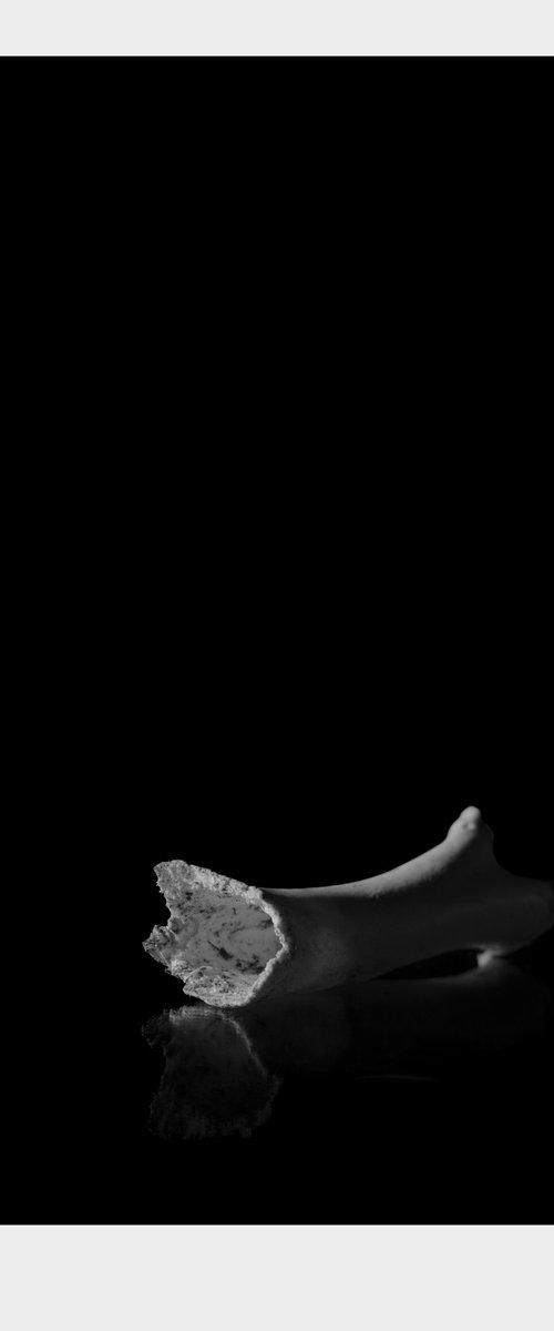Untitled X by Caio Caruso
