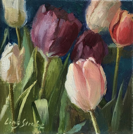Tulips - 3
