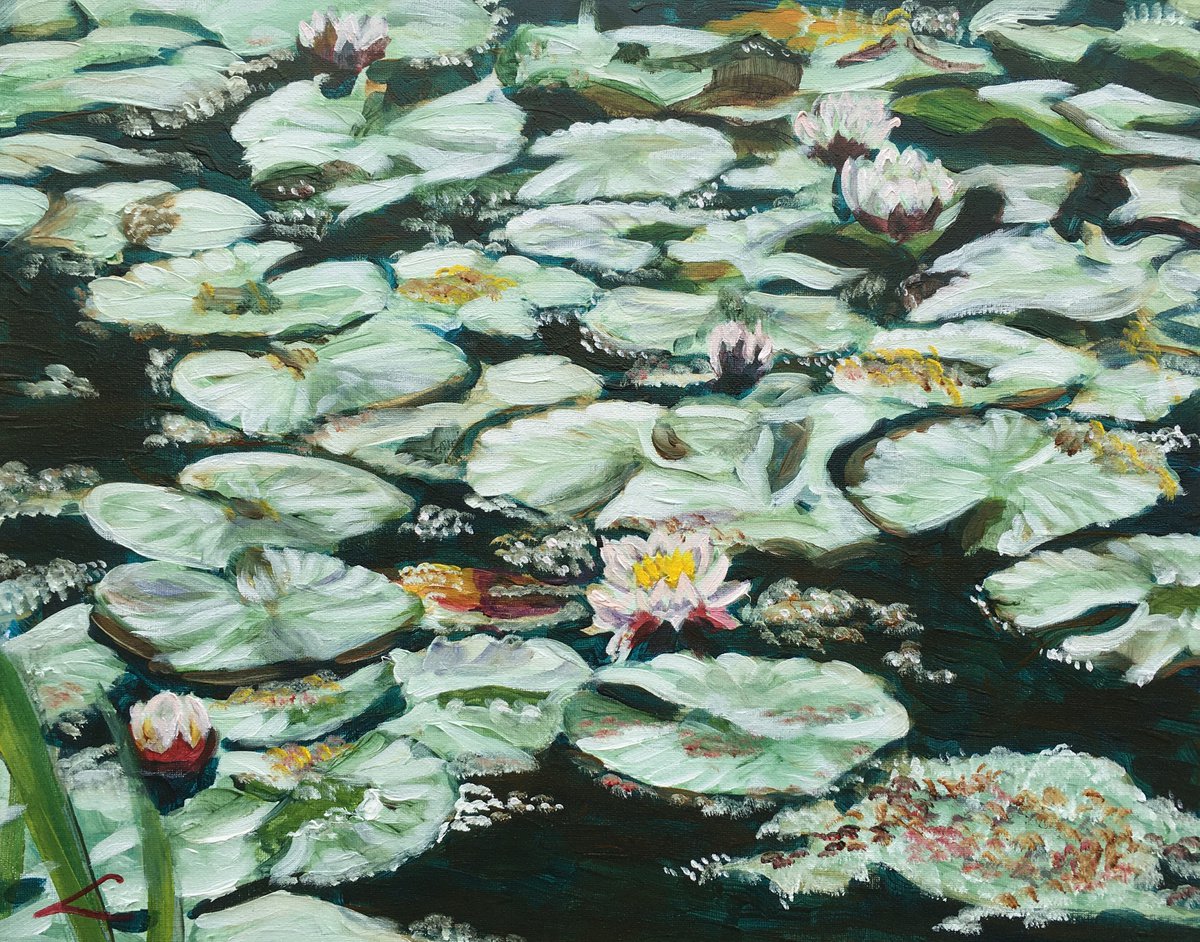 Impressionistic Botanical Oil Painting By Elena Sokolova, 20 X 16, Waterlilies 5, Original Artwork