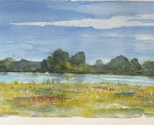 Meadow in the Norfolk Fens by Brian Tucker