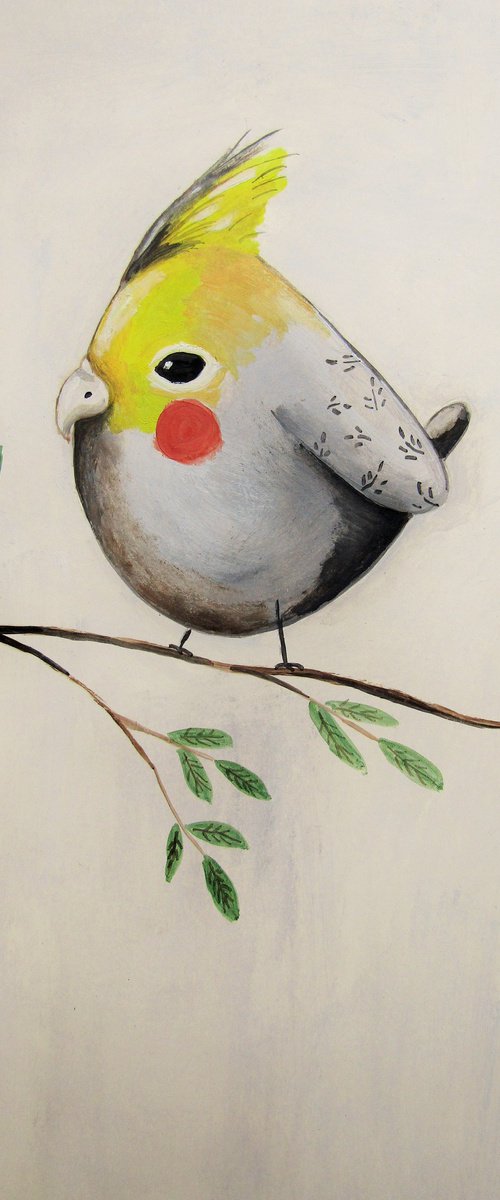 The cockatiel (Nymphicus hollandicus) parrot by Silvia Beneforti