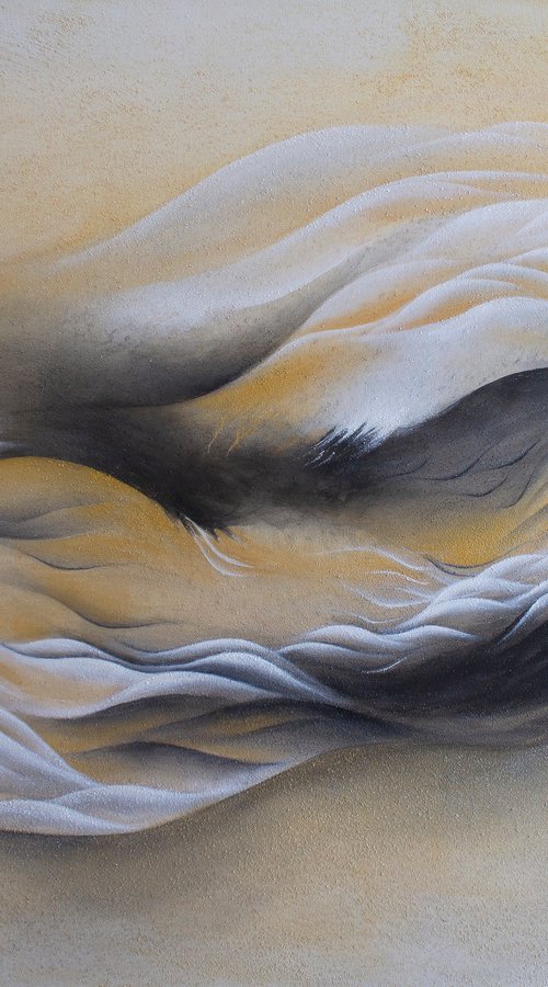 Shaped by the same waters by Francesca Borgo