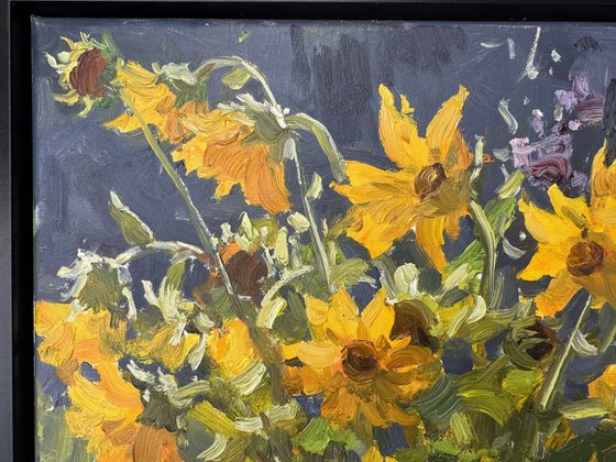 Wild Flowers litted by morning light