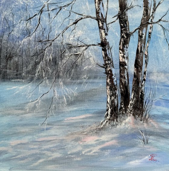 Birches in the Snow