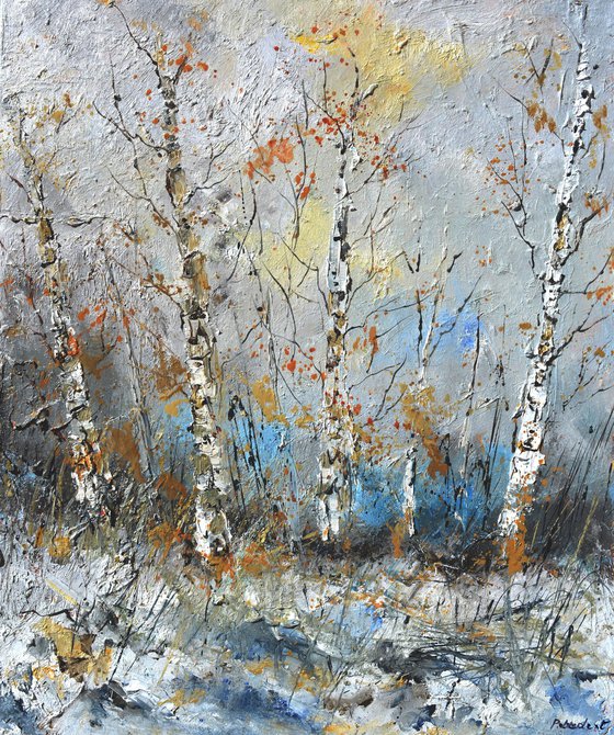 Aspen trees in winter