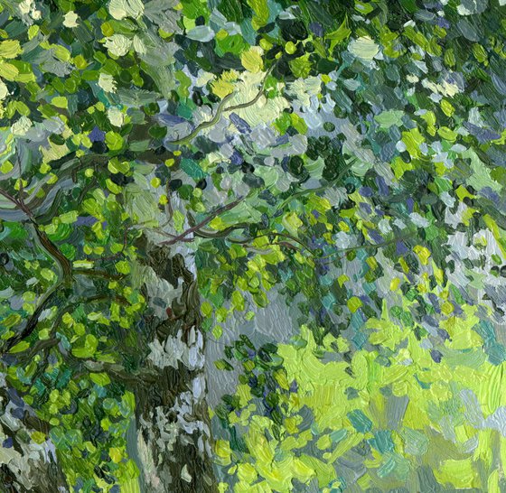 Birches