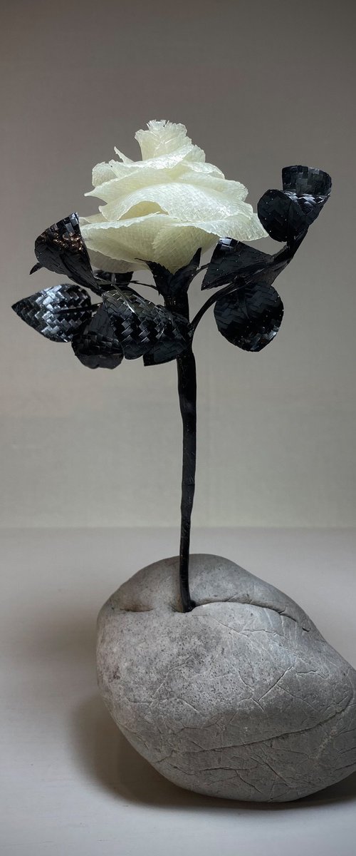 Perseverance finds a way by Akacius Vegh