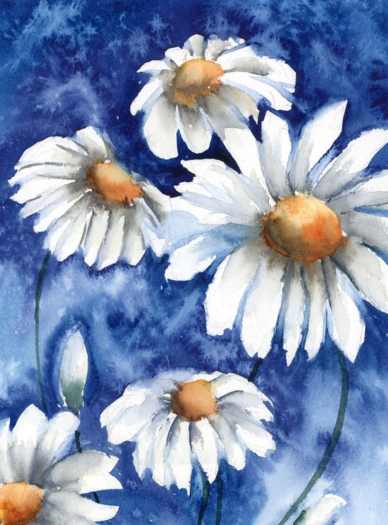 Daisies